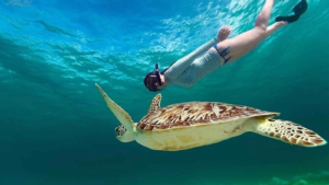 SHARE SNORKELING 4 SPOT 3-1600X900