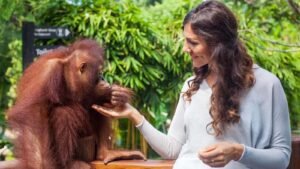 bali-zoo-bali-breakfast-with-orang-utan4-1600X900