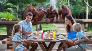 bali-zoo-breakfast-with-orang-utan1-1600X900