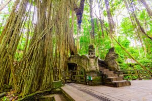 The Sacred Monkey Forest Ubud. Home to 700 monkeys.