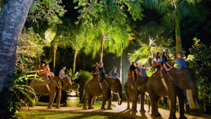 safari 600X900-Recovered-Recovered