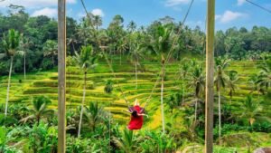 tegalalang-swing-flying fox-1600x90000002